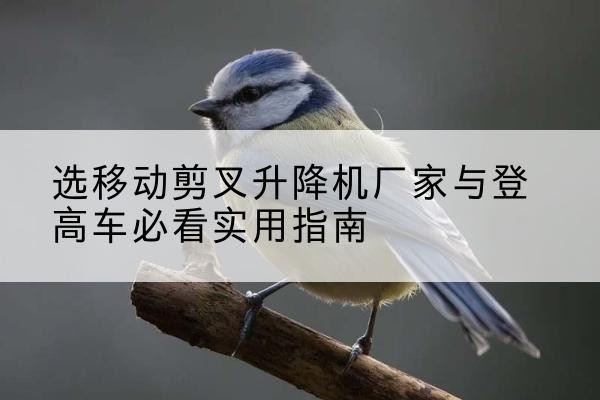 和硕电动升降机厂家-选移动剪叉升降机厂家与登高车必看实用指南