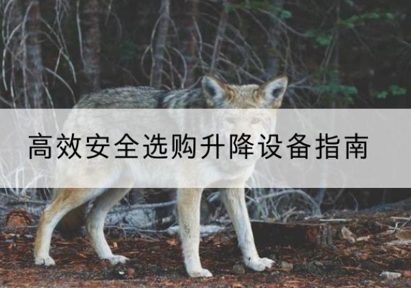 和硕升降货梯厂家推荐-*安全选购升降设备指南