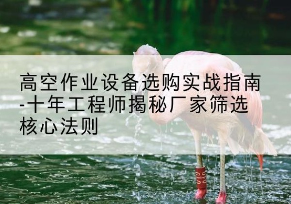 和硕剪叉式升降机厂家-高空作业设备选购实战指南-十年工程师揭秘厂家筛选核心法则